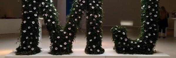 Mark-Jan Terwindt banner