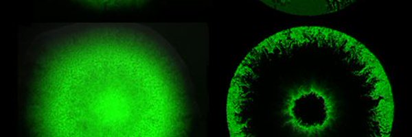 BioComplex_NBI Profile Banner