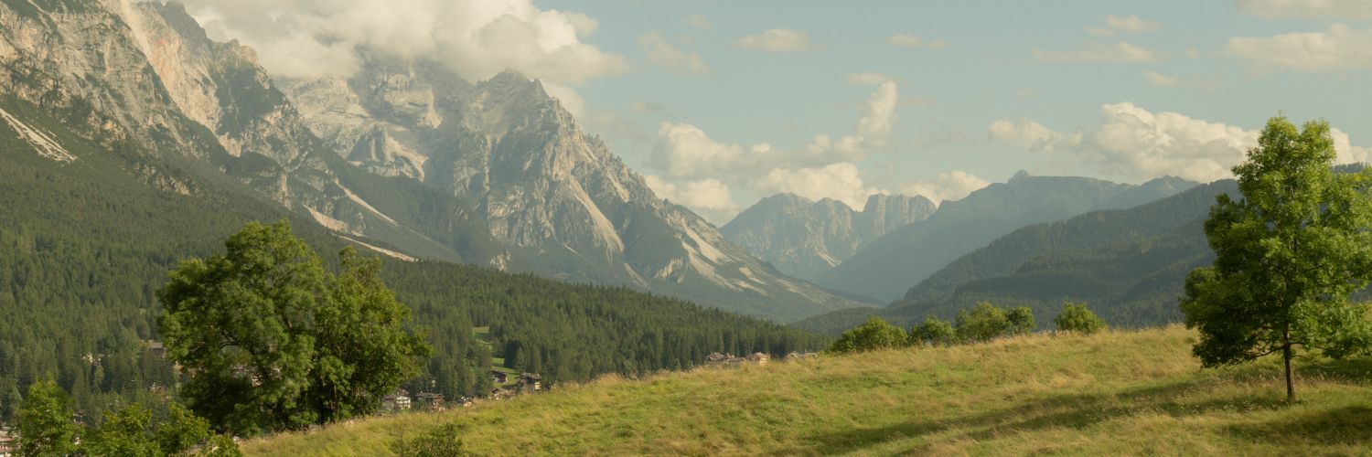 luca banner