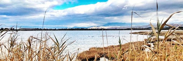 lepetitebuss Profile Banner