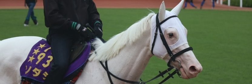 hozhoz🦄's banner