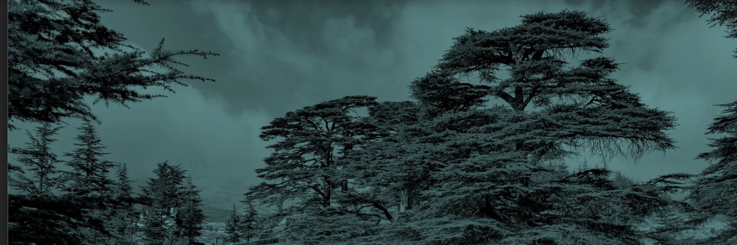 CedarOxygen's profile banner image