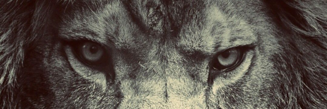 Caaaesaar's profile banner image