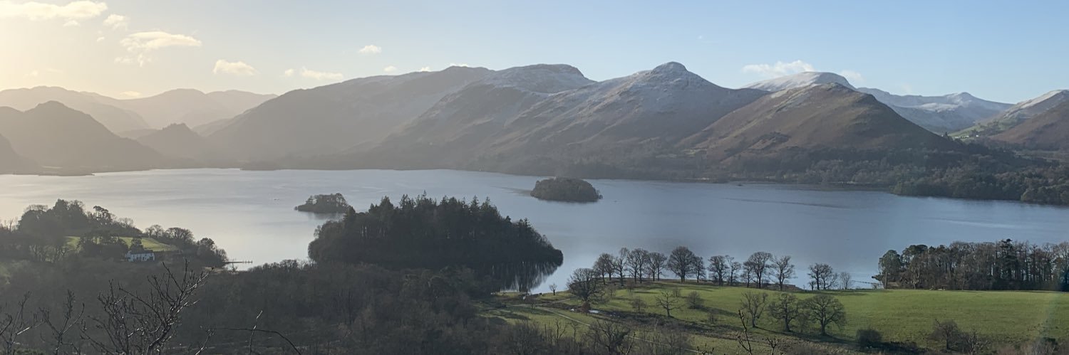 Stephanie Bradshaw banner