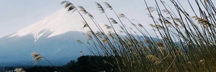 lindafalfi's profile banner image