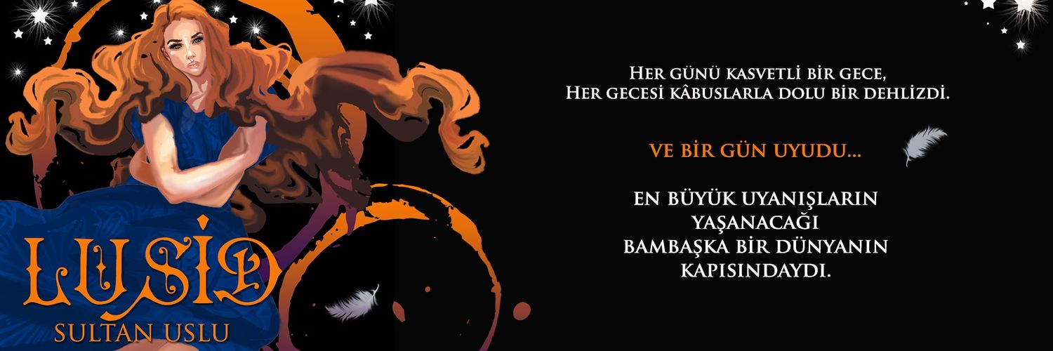 sltn1sl's profile banner image