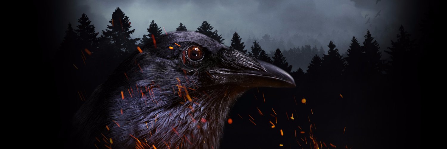 PlayRavenInc's profile banner image