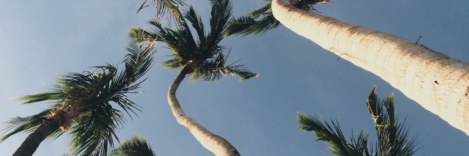 jenscene's profile banner image