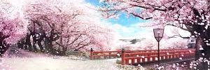 Vikthur13's profile banner image