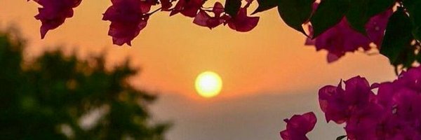 ononplak Profile Banner