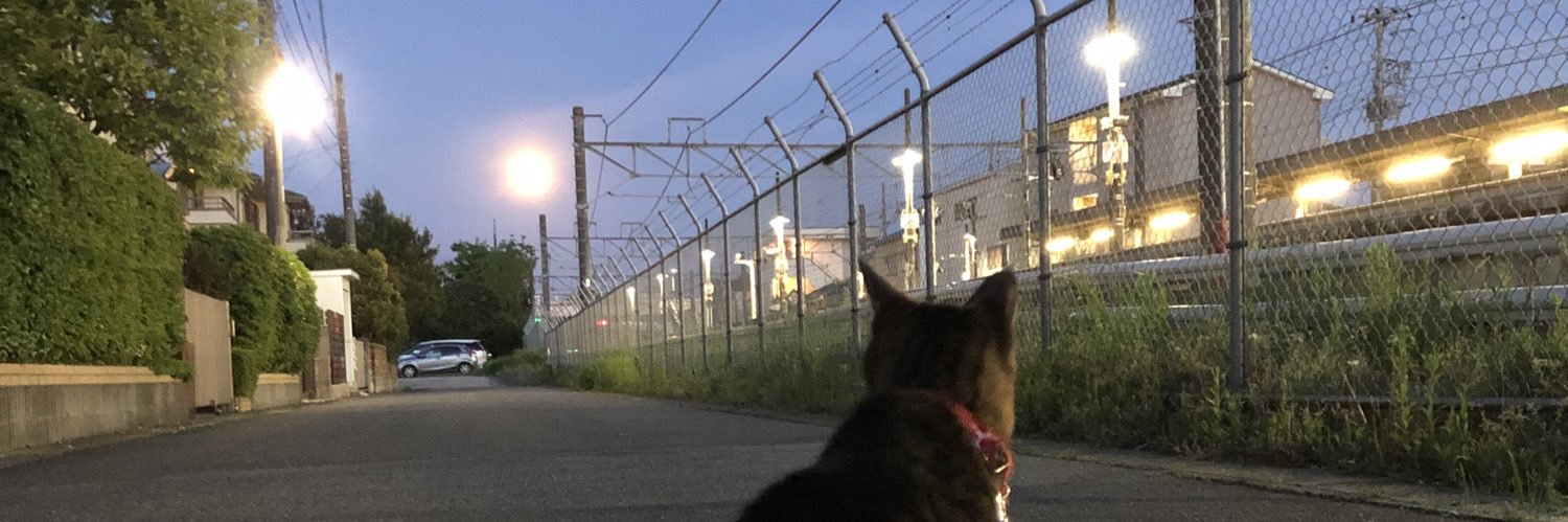 🐿🍡karpen🍊🐒✩゛ banner