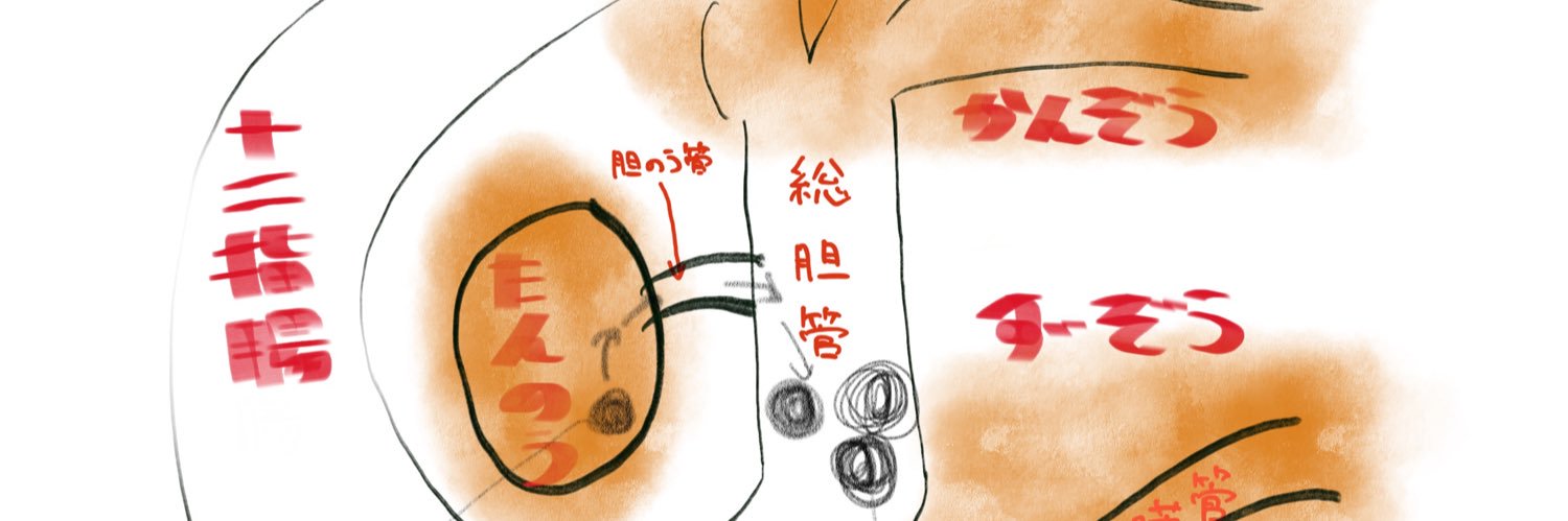 ce_udon's profile banner image