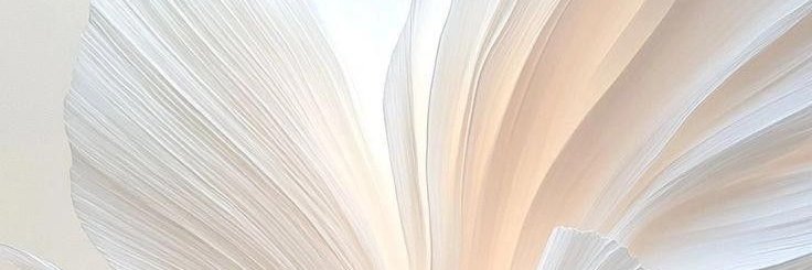 سيدة التوفير banner