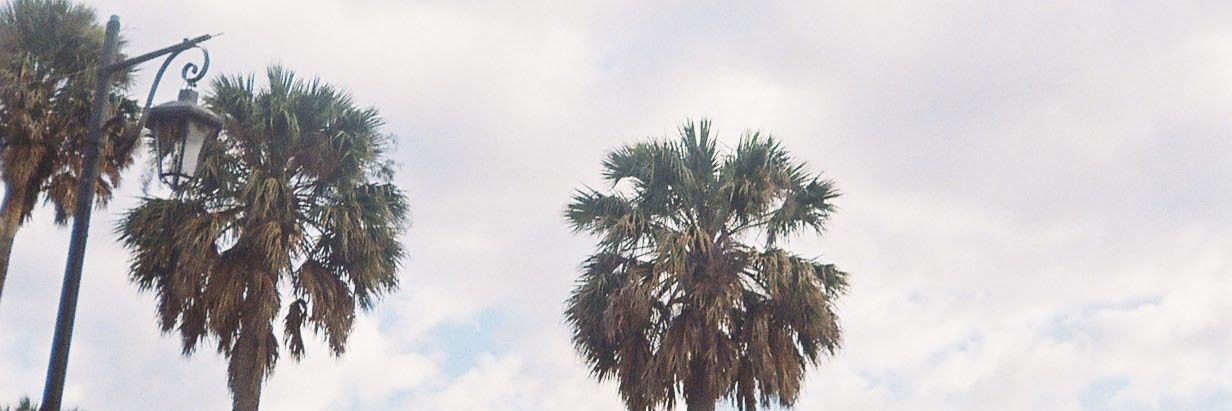 isaarist's profile banner image