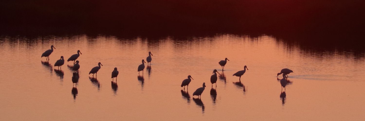 AndyBloomfield banner
