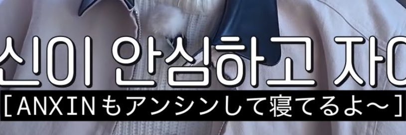たん🫧 banner