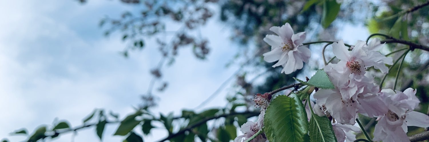 mimimi82158's profile banner image