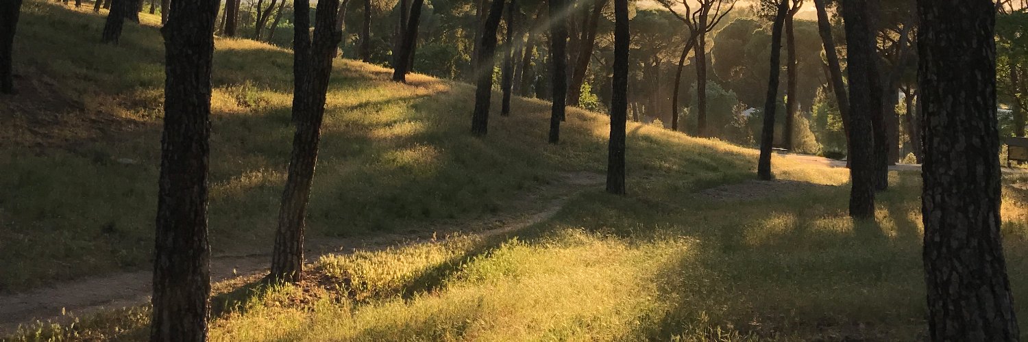 pablo_mrtn's profile banner image