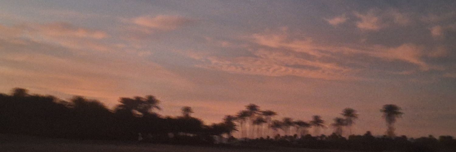 Robisa banner