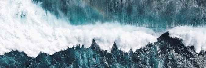 crybaby condor 🦅 banner