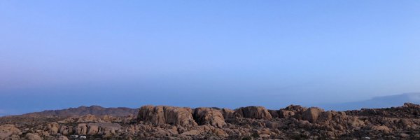 AllenWangMD Profile Banner