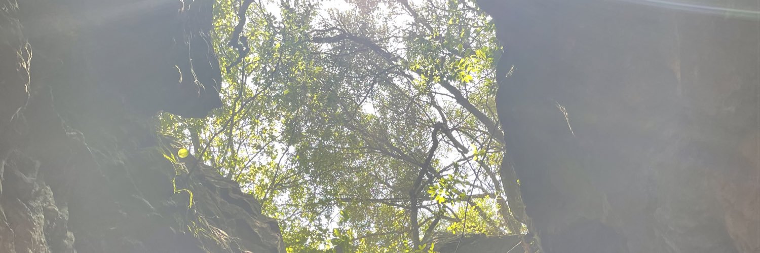 Bee_Pee_Lu's profile banner image