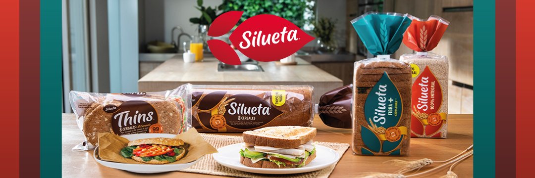 Silueta España banner