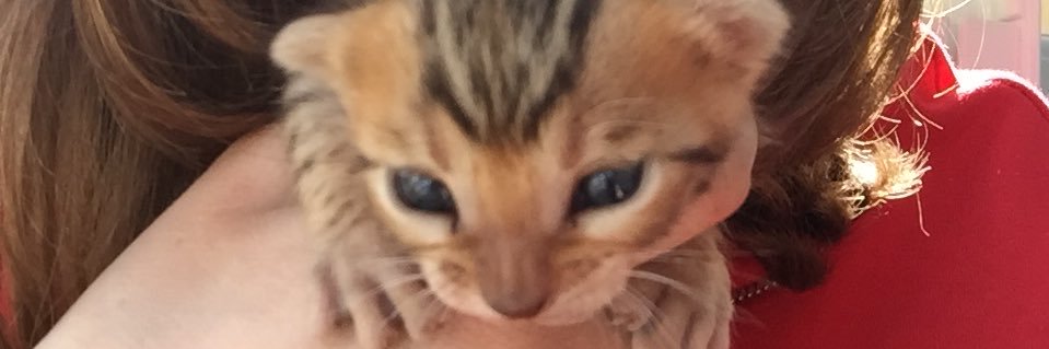 th_landro's profile banner image