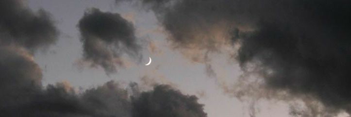 TrxviaElvis's profile banner image