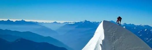 Mountain Network banner