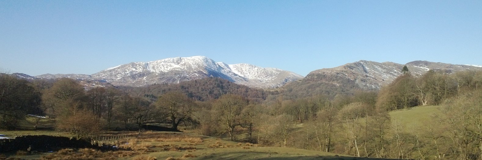 Winston Collinge 🌻 🇺🇦 banner