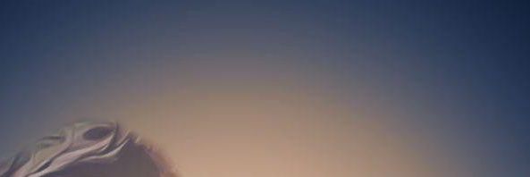 mhgoraya704's profile banner image