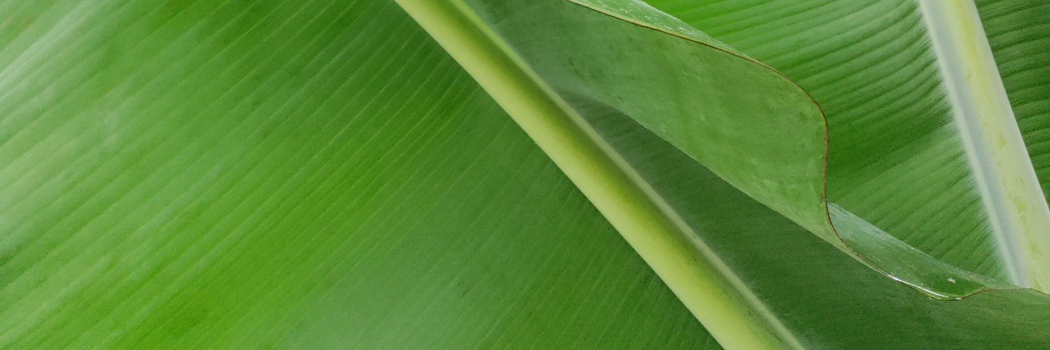 es_markes's profile banner image