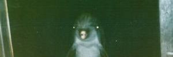 Ghostlyman47 Profile Banner