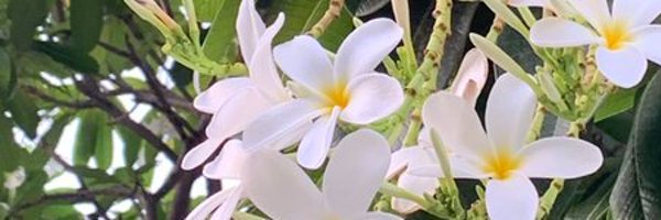 MathurFilipp Profile Banner