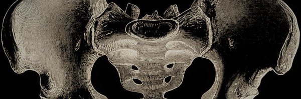 cedric_pp Profile Banner