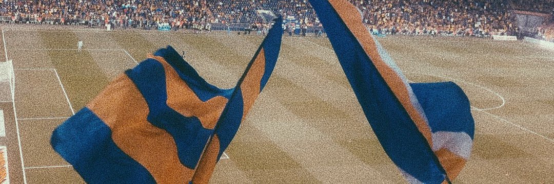 vesile banner
