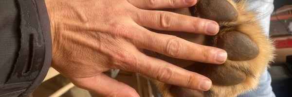 Benvn7's profile banner image