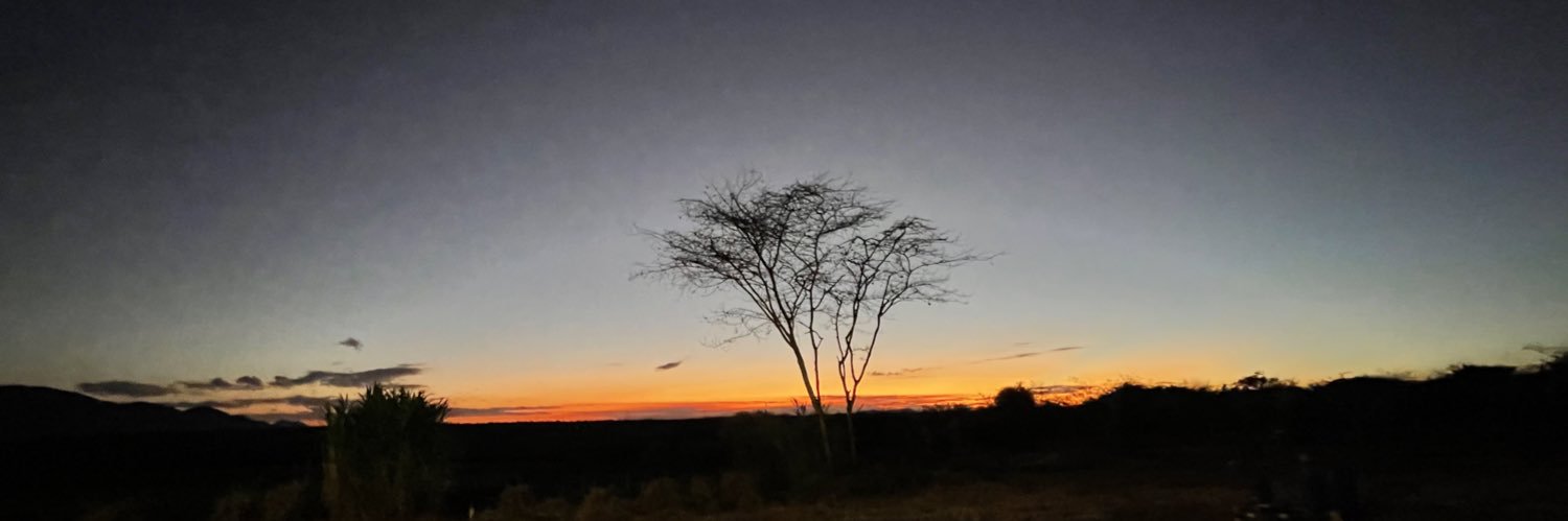 Ally Salum Hapi banner