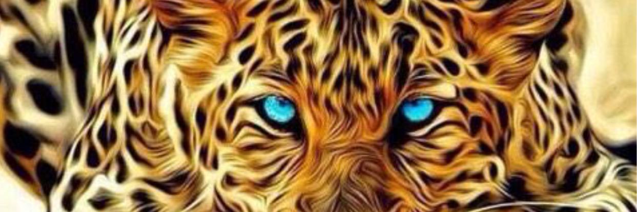 Demond1234's profile banner image