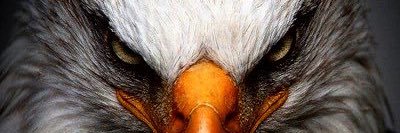 CesarinSanchez7's profile banner image