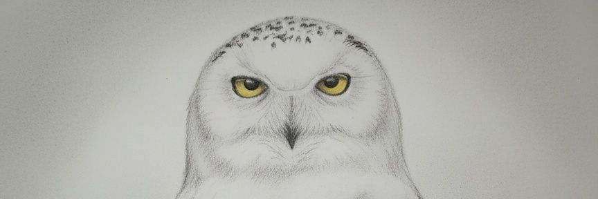 Mosaab Mohammed ✪⚡ banner