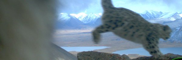 friedough1 Profile Banner