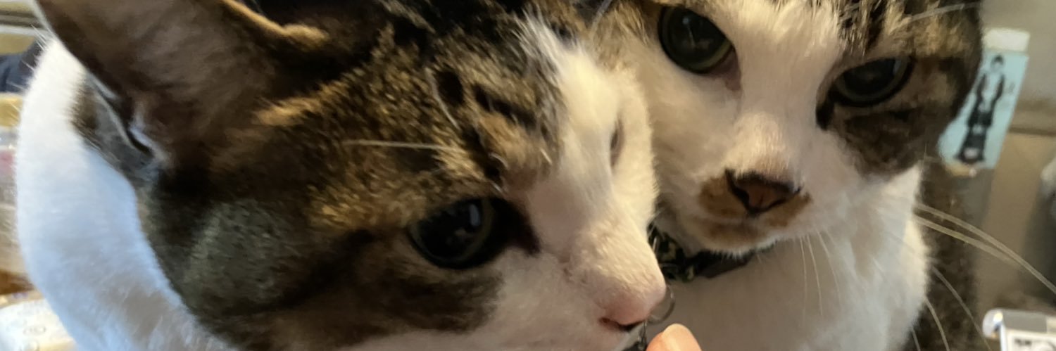 mosamikappa's profile banner image