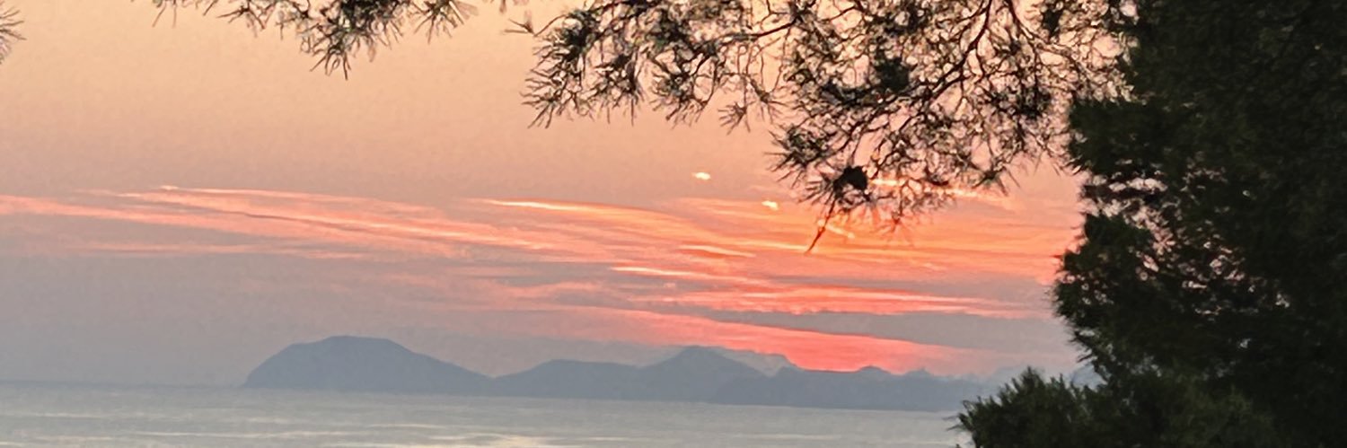 ryan marchina banner