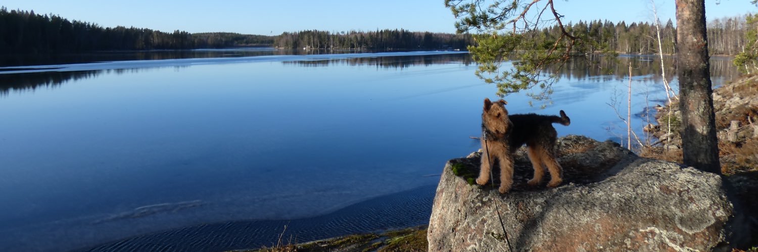 Pekkinen's profile banner image
