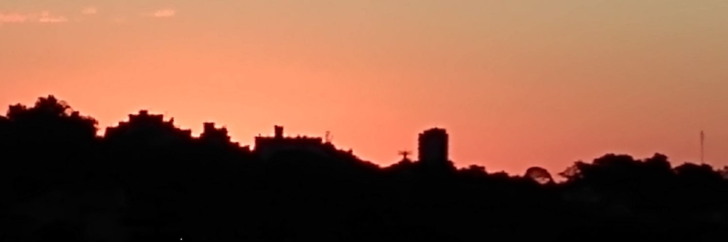 🚩🍀Karla ⭐🚩 Lula13 banner