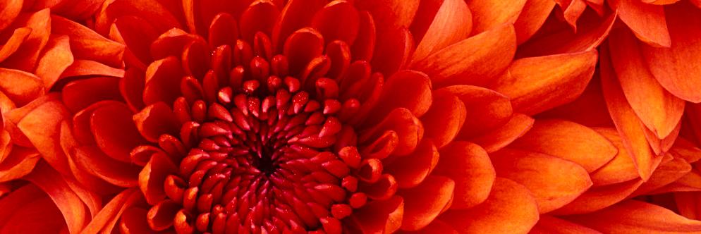 jayeshak's profile banner image
