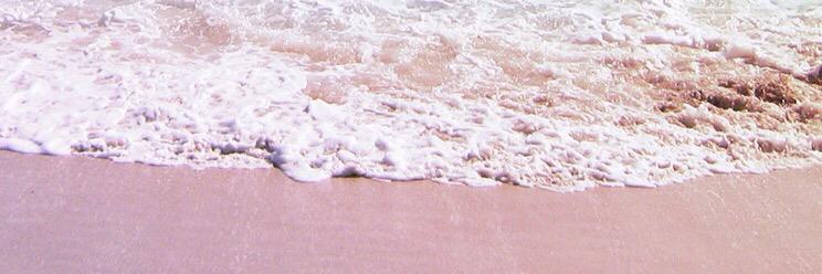 noviasss's profile banner image