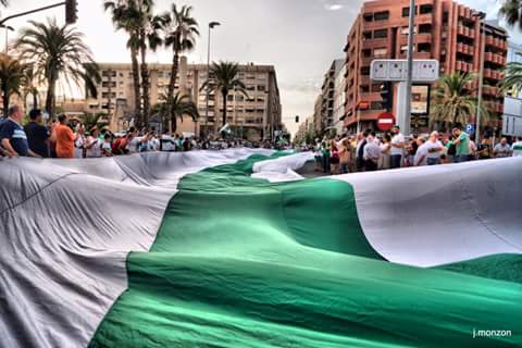 Els gafarrons banner